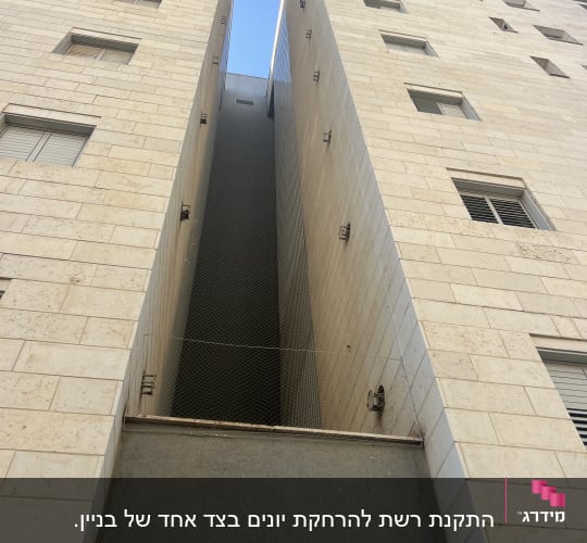רשת למניעת כניסת יונים בין בניינים גבוהים